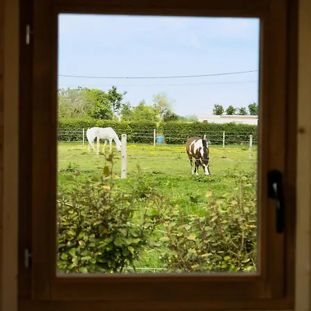 Σαλέ Mini Chaumiere - Nature Charme Et Deconnexion Annouville-Vilmesnil